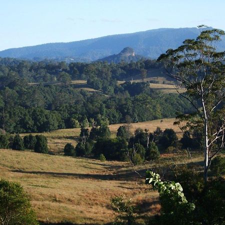 Grey Gum Lodge Nimbin Bagian luar foto