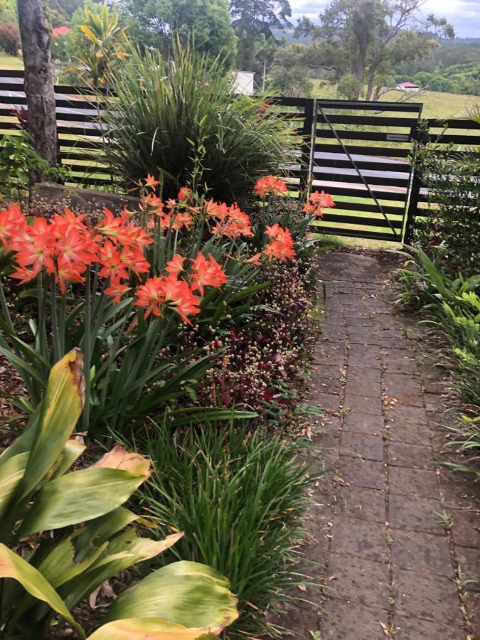 Grey Gum Lodge Nimbin Bagian luar foto
