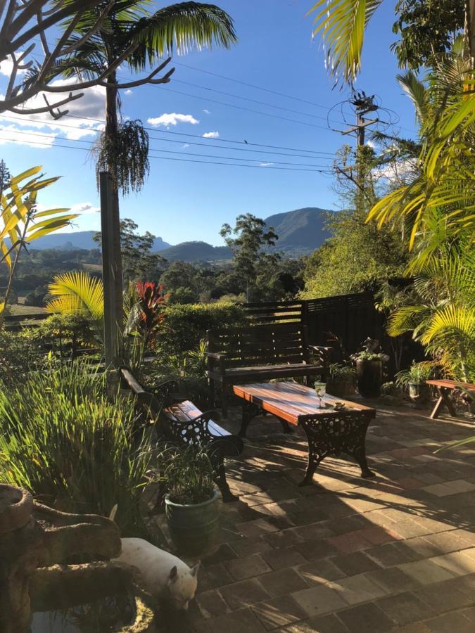 Grey Gum Lodge Nimbin Bagian luar foto