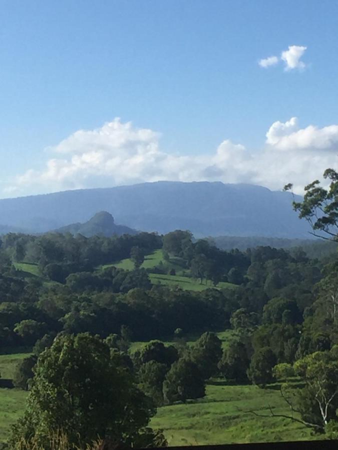 Grey Gum Lodge Nimbin Bagian luar foto