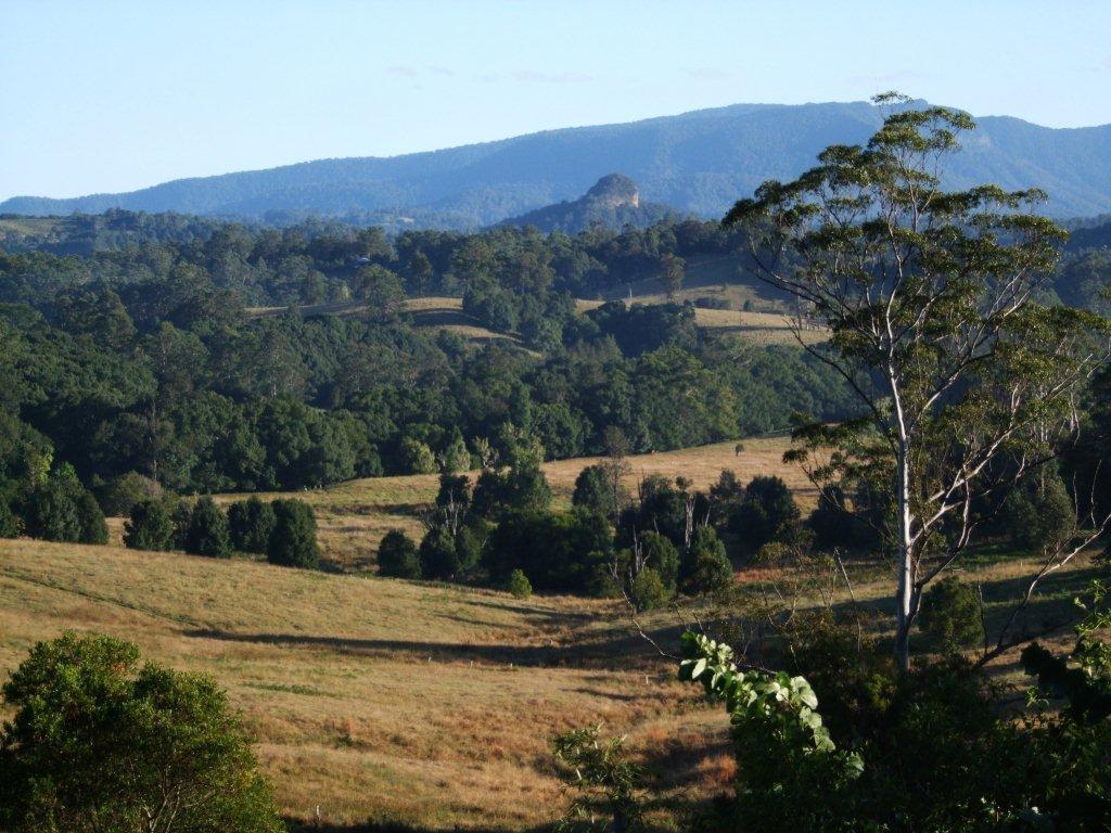 Grey Gum Lodge Nimbin Bagian luar foto