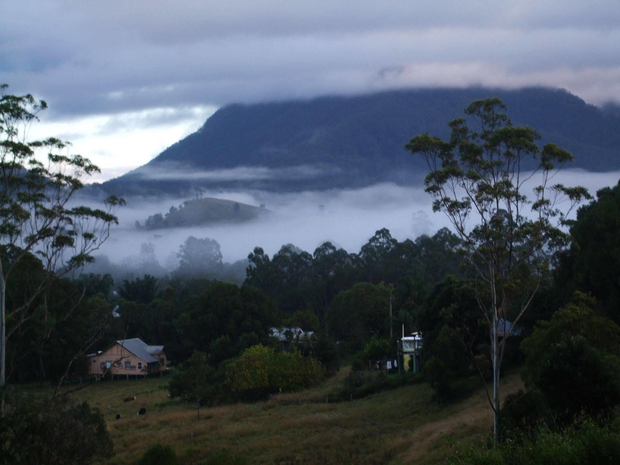 Grey Gum Lodge Nimbin Bagian luar foto